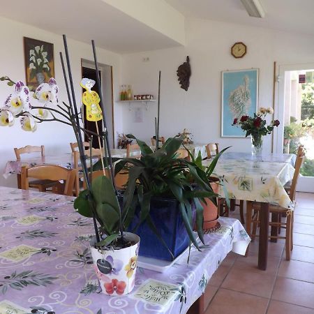 Luri Chambre D Hotes Chez Raymonde Et Sandrine المظهر الخارجي الصورة
